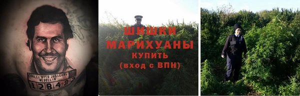 mdpv Богородск