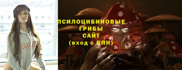 стаф Богданович