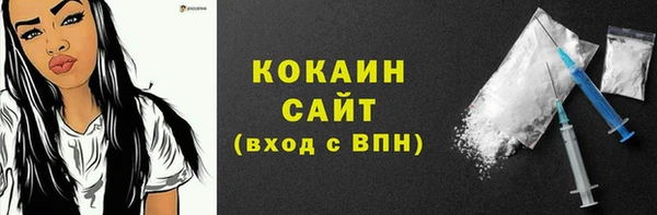стаф Богданович