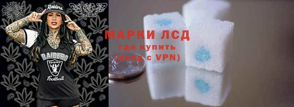 стаф Богданович