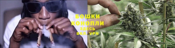 стаф Богданович