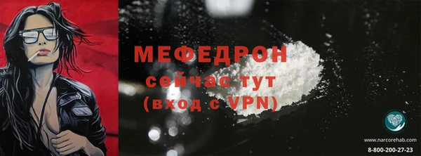 стаф Богданович