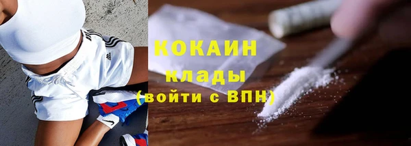 стаф Богданович