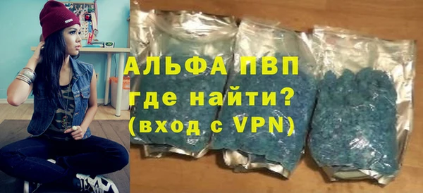 стаф Богданович