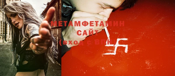 сатива Сатка
